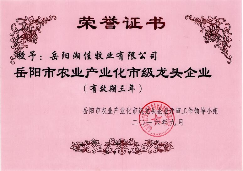 榮譽(yù)證書(shū)